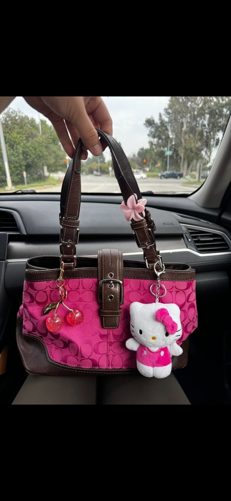 Coach Hamptons Signature Medium Hobo Shoulder Bag Pink Brown Leather