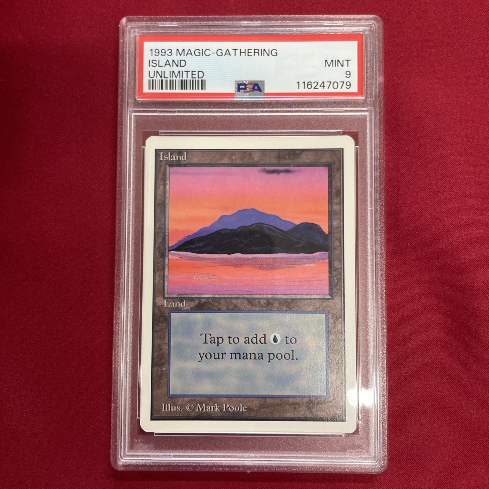 Graded PSA 9 1993 Magic - Gathering Island Unlimited MINT