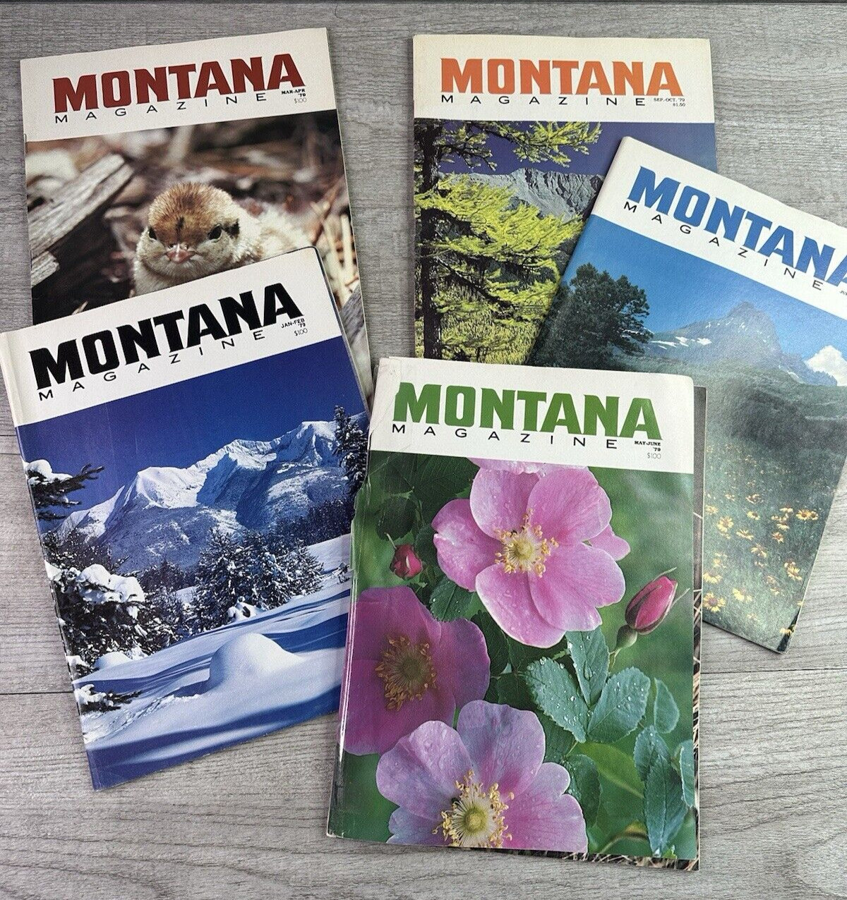 Vintage 1979 Lot Of 5 Montana Magazines Issue Months Jan-Oct