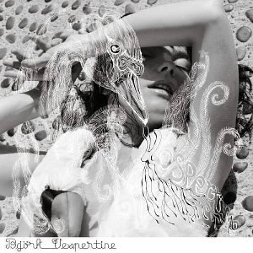 Vespertine - Audio CD By Bjrk - GOOD Vespertine - Audio CD By Bjrk - GOOD