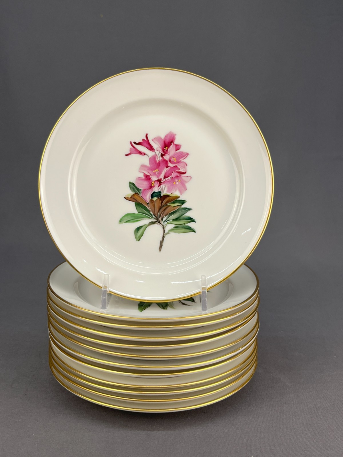 12 Rosenthal Hand-Painted ALPINE FLOWERS 6 1/4\