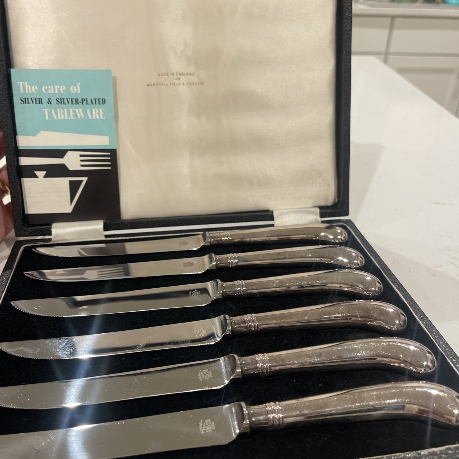 Vintage Steak Knives SET Stainless Steel Marshall Field\'s England W/Leather Box