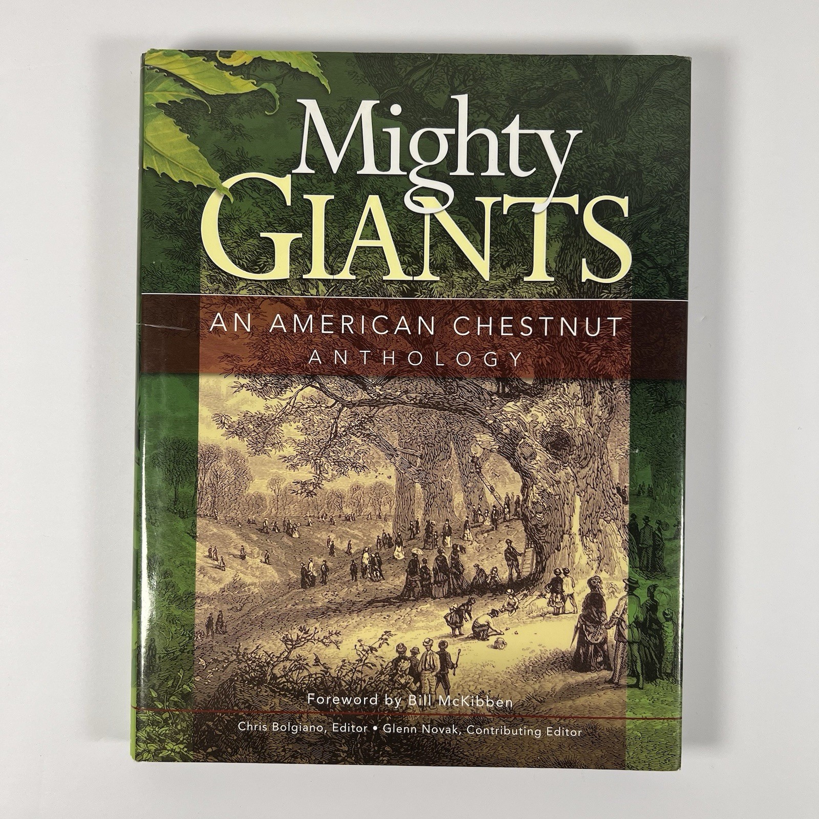 Mighty Giants: An American Chestnut Anthology Hardcover HC 2007 Bolgiano, Novak