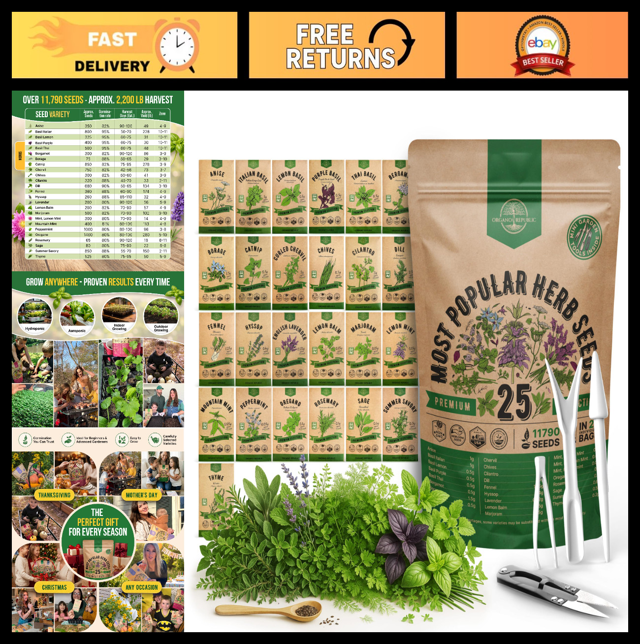 25 Most Popular Herb Seeds Variety Pack - 11