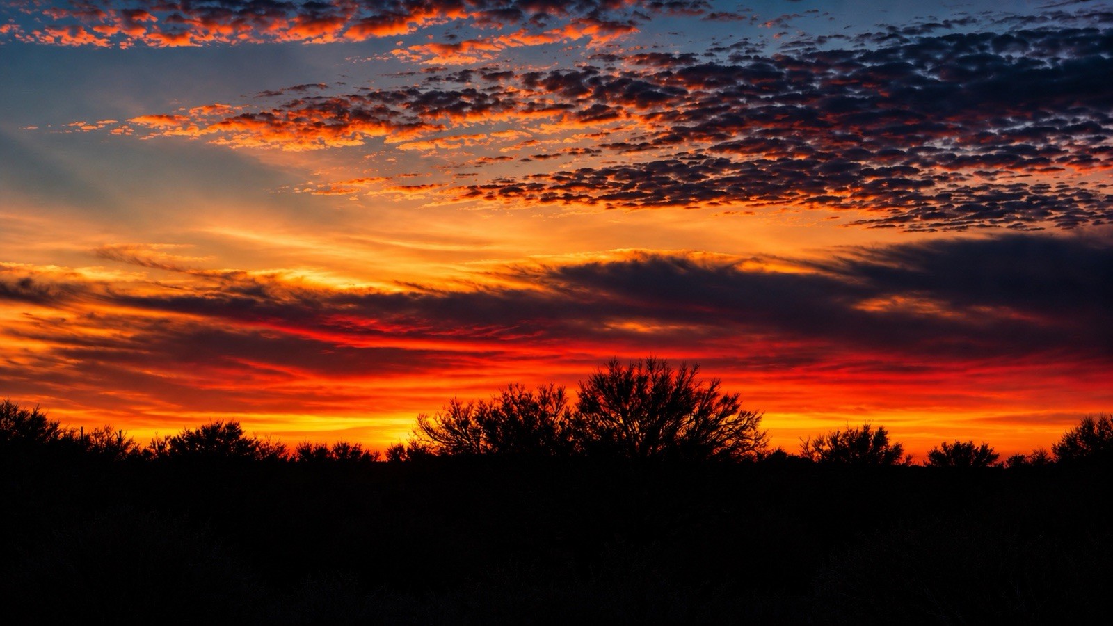 Color Landscape Photograph Sunset Sky Clouds Trees Nature Landscape Art Color Landscape Photograph Sunset Sky Clouds Trees Nature Landscape Art