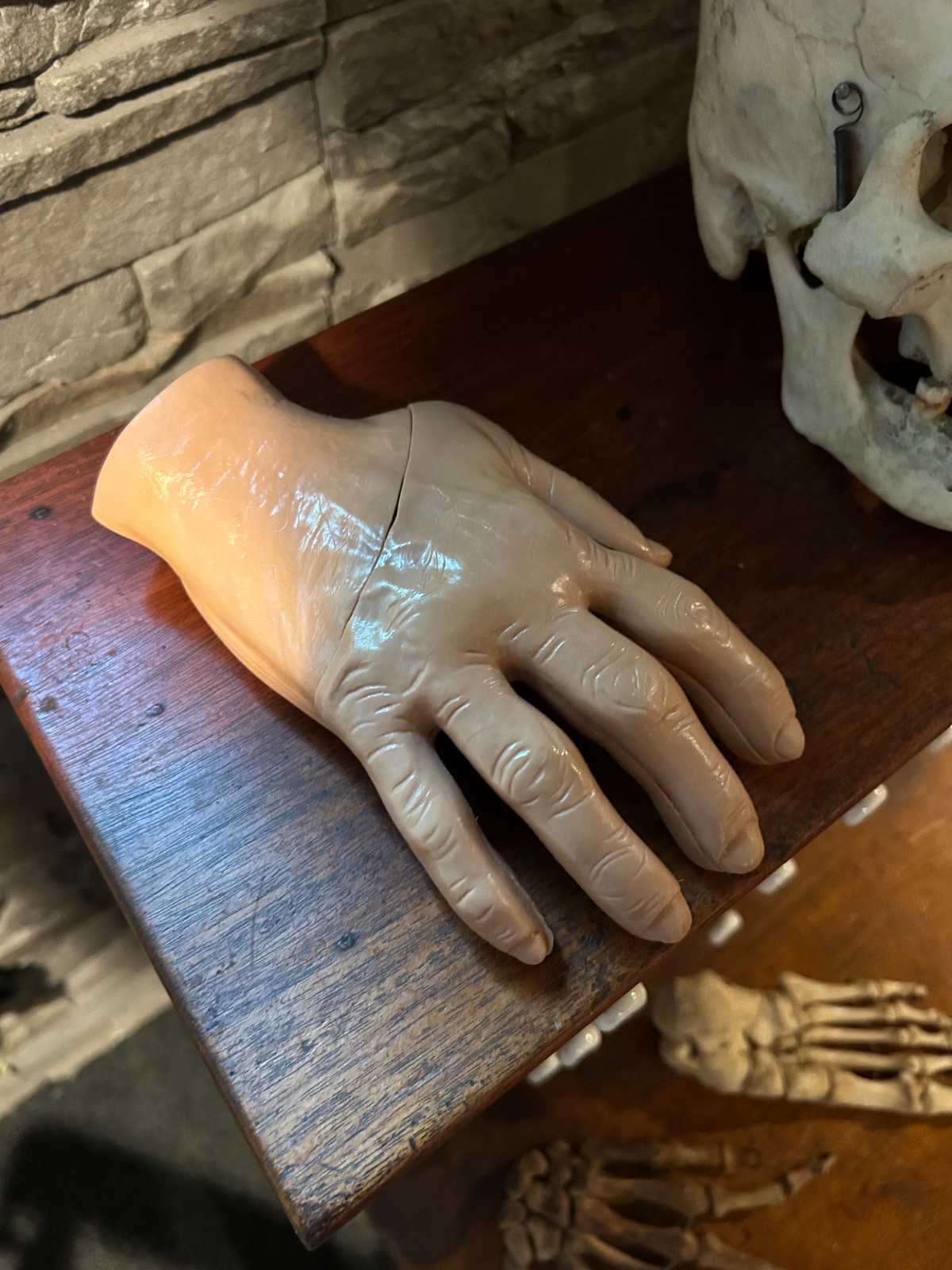 Medical Skeletal Hand Display, Whitehall Laboratories NY, NY - Halloween display