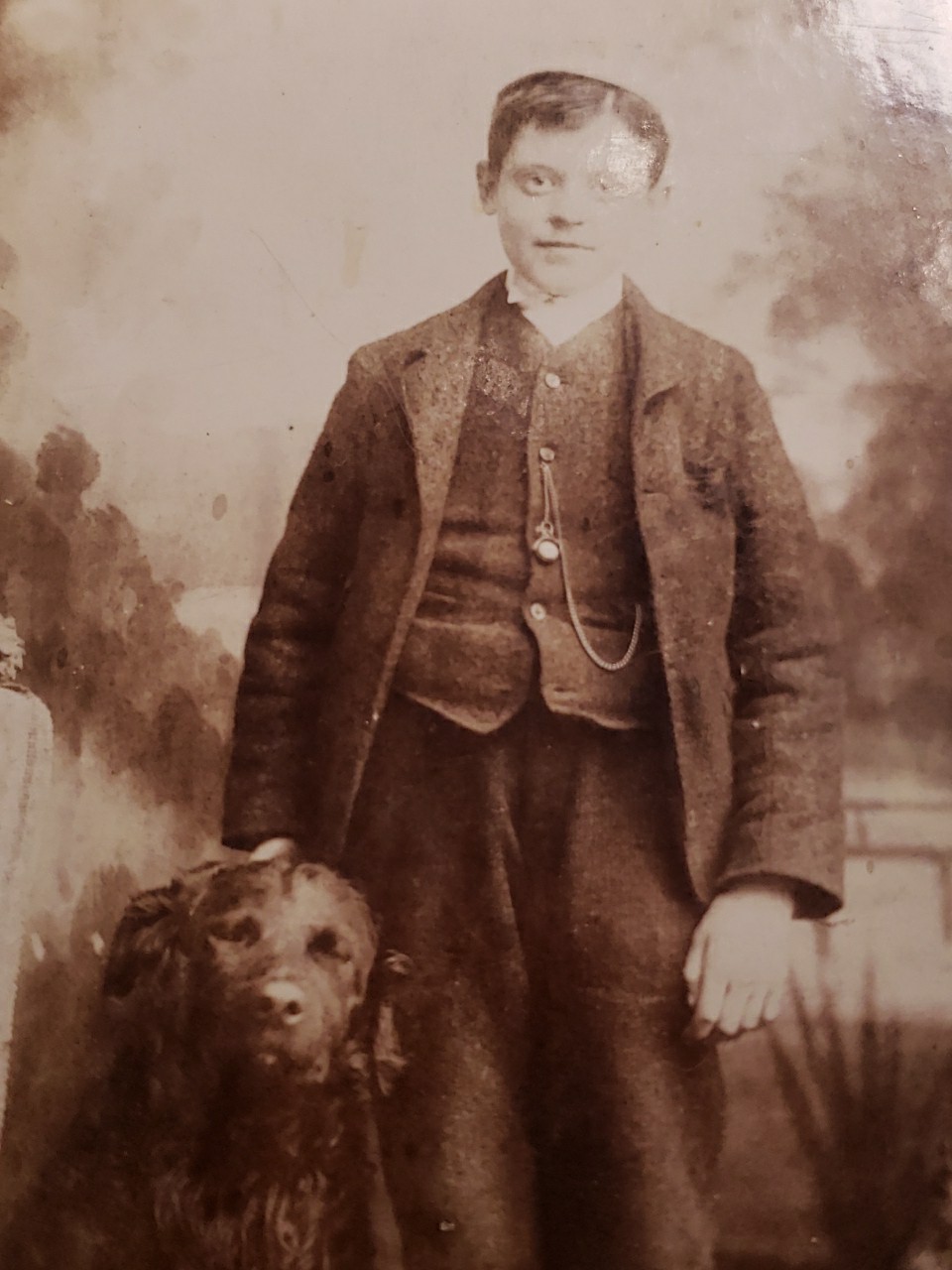 Antique 1890s Woodhouse Sheffield UK Photo Card Taylor Jeweller Large Black Dog