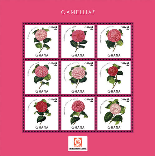 Ghana 2013 - Camellia Flowers - China Expo Sheet of 9 stamps - Scott #2762 - MNH Ghana 2013 - Camellia Flowers - China Expo Sheet of 9 stamps - Scott #2762 - MNH