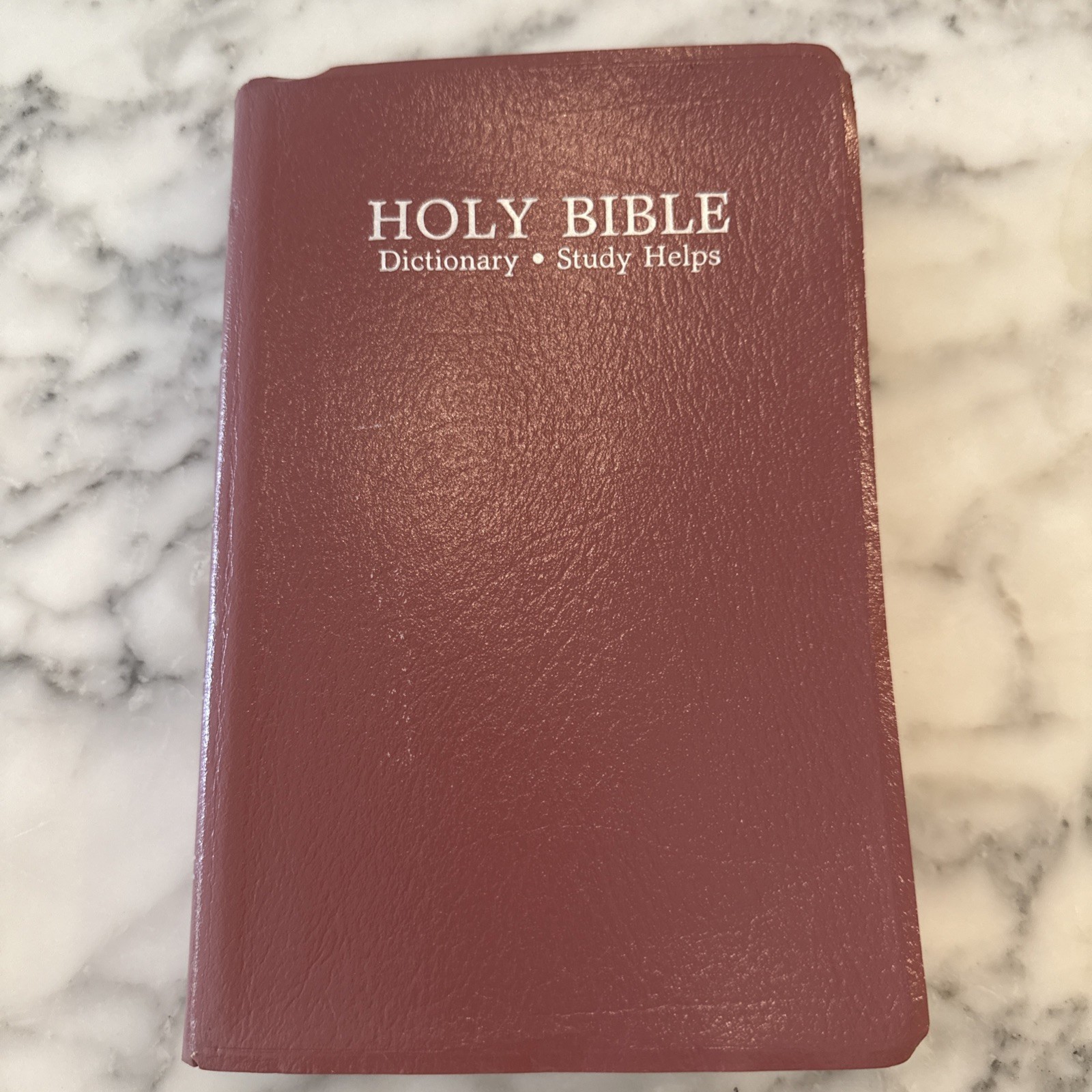 VTG 1989 Holy Bible KJV Red Letter Dictionary Study Helps World Publishing Rose