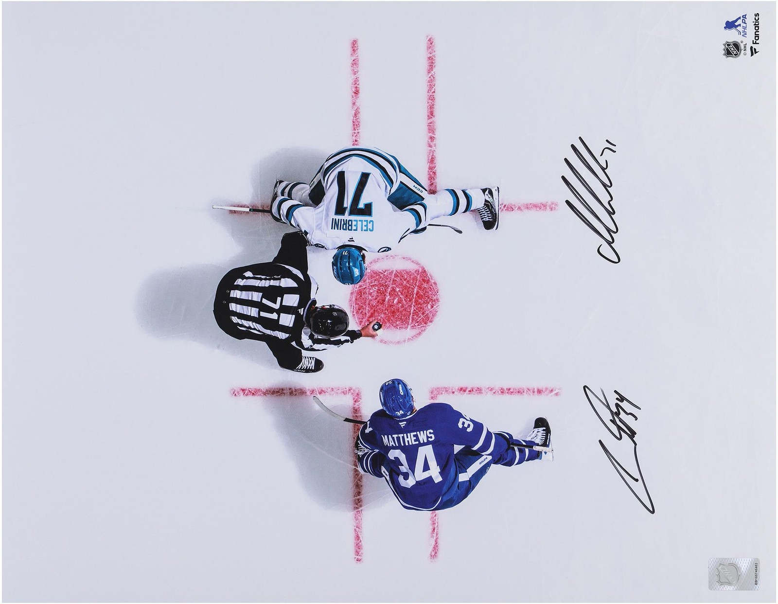 Auston Matthews Maple Leafs & Macklin Celebrini Sharks Signed 16\