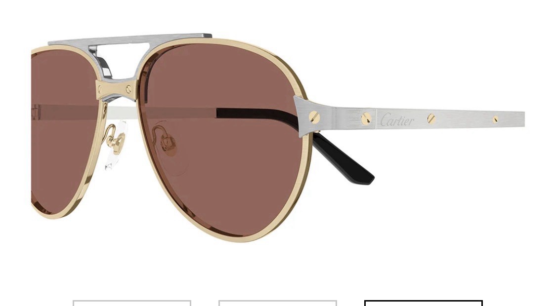 Cartier CT0476S 006