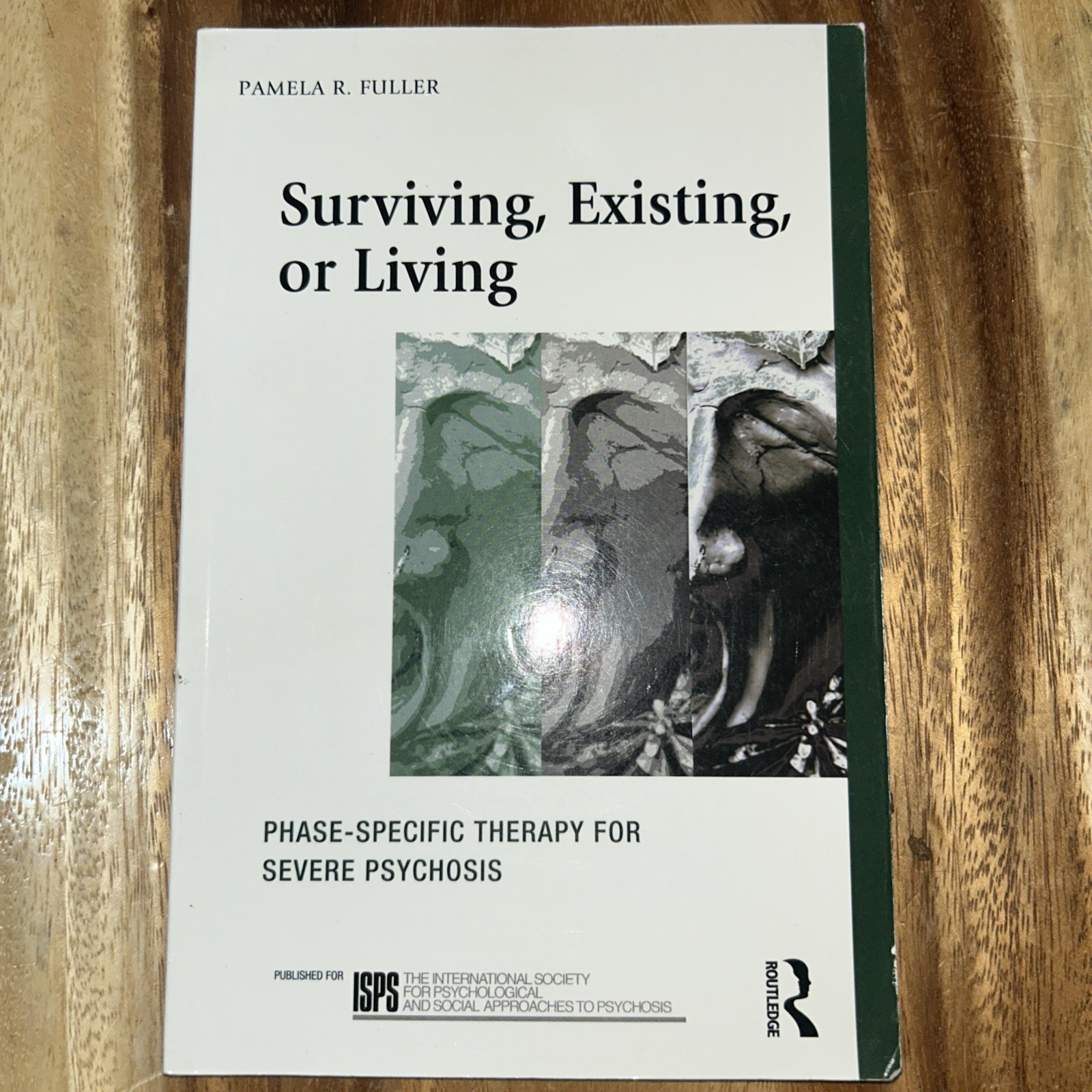 The International Society for Psychological and Social Approaches to...