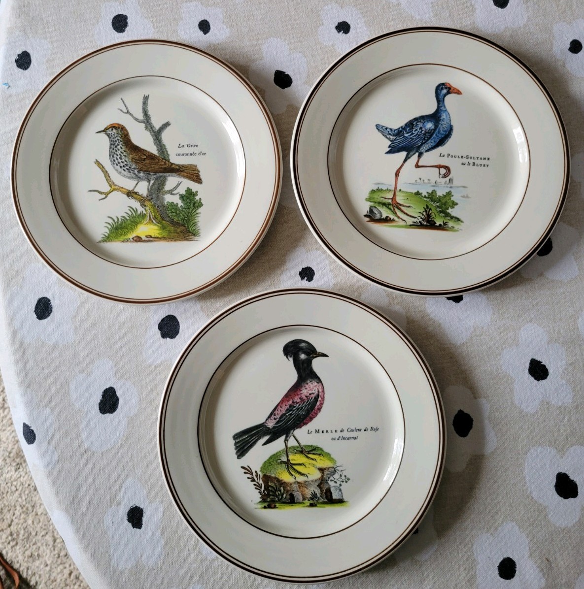 Villeroy & Boch Paradiso Plates