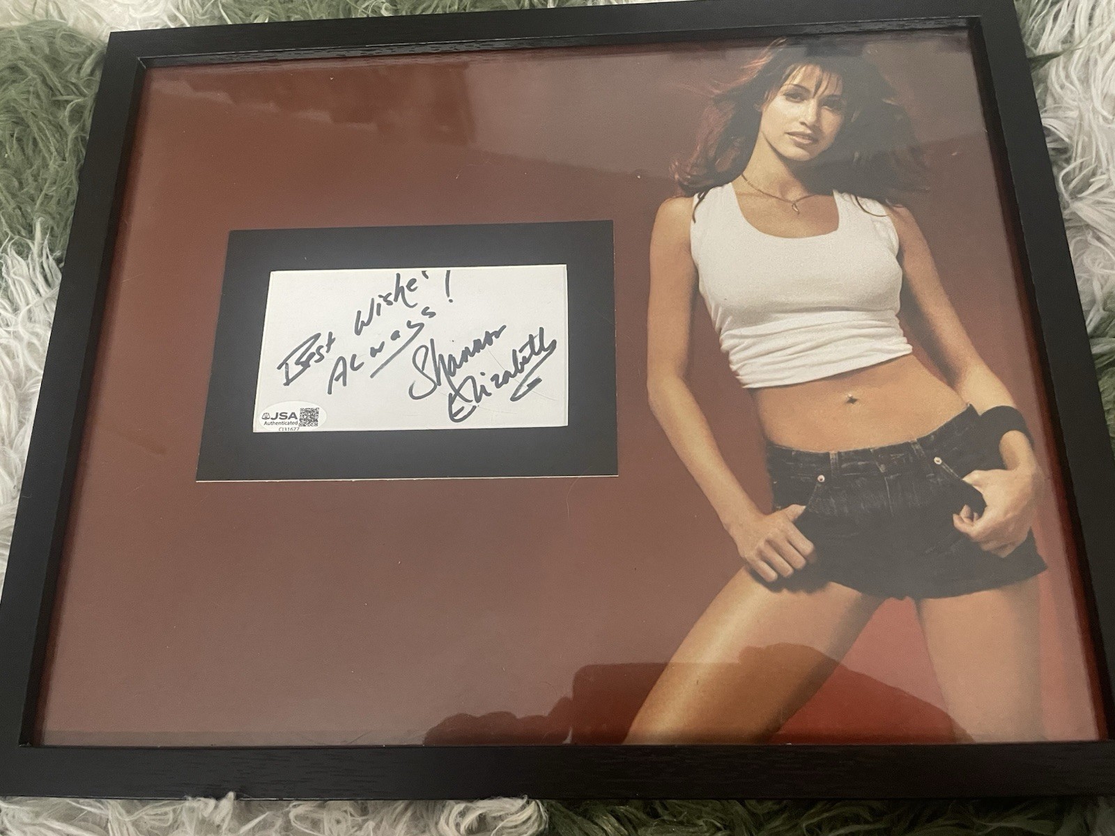 Shannon Elizabeth Signed Index JSA COA Frame 11x14 American Pie Thirteen Ghosts