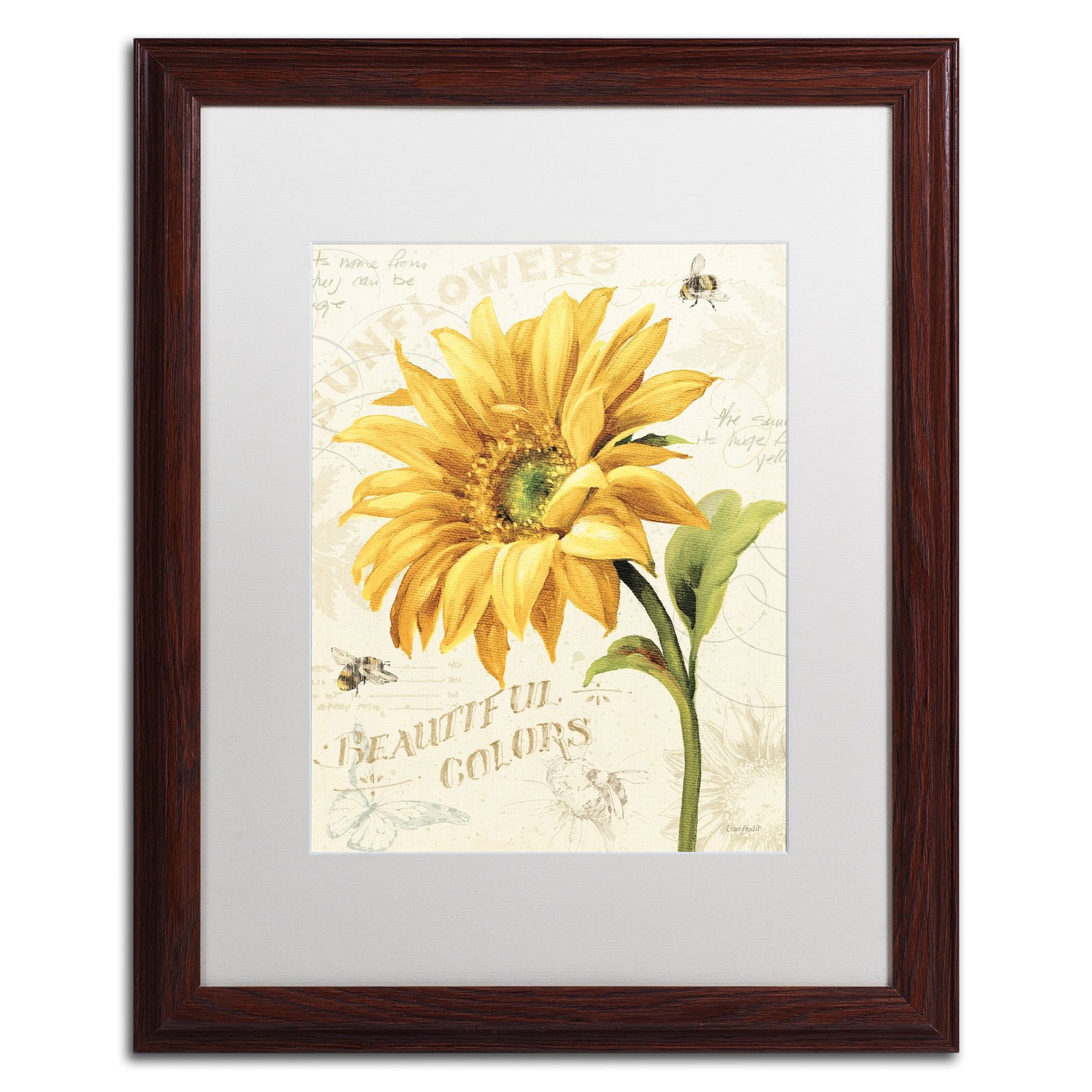 Trademark Fine Art \'Under The Sun II\' White Wood Frame Lisa Audit 16x20