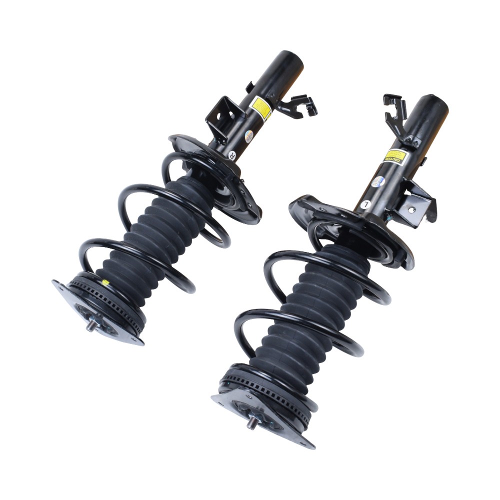 Pair For Nissan Sentra 2020-2024 Front Completely Strut & Coil Spring Assembly