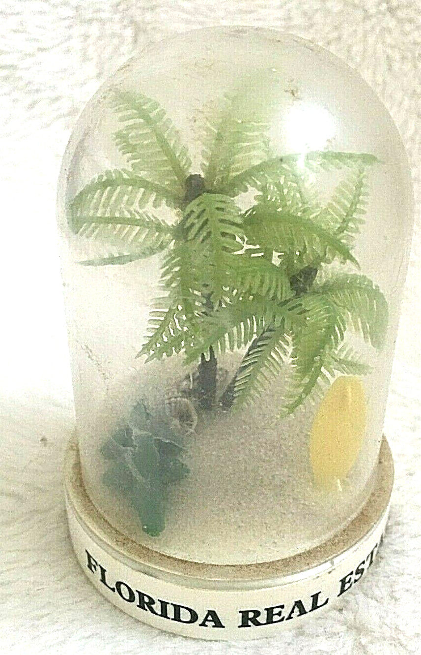 VTG Florida Souvenir PLASTIC BEACH PALM TREE GATOR SURF BOARD REAL ESTATE