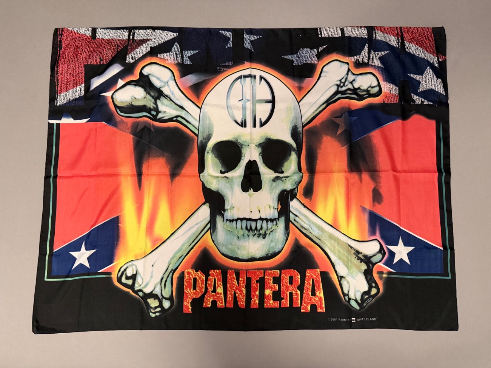 Pantera Cowboys from Hell Skull Logo 41.5\