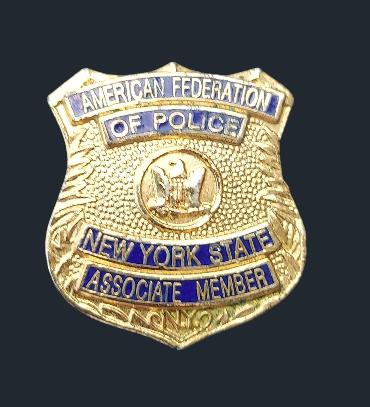 Vintage Obsolete New York State American Federation of Police Pinback Badge 1x1\
