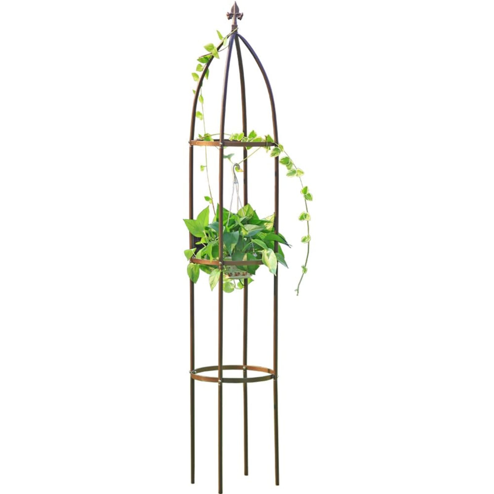 Large Bronze Metal Garden Obelisk Trellis 6.3 ft Heavy Duty for Climbing Vines