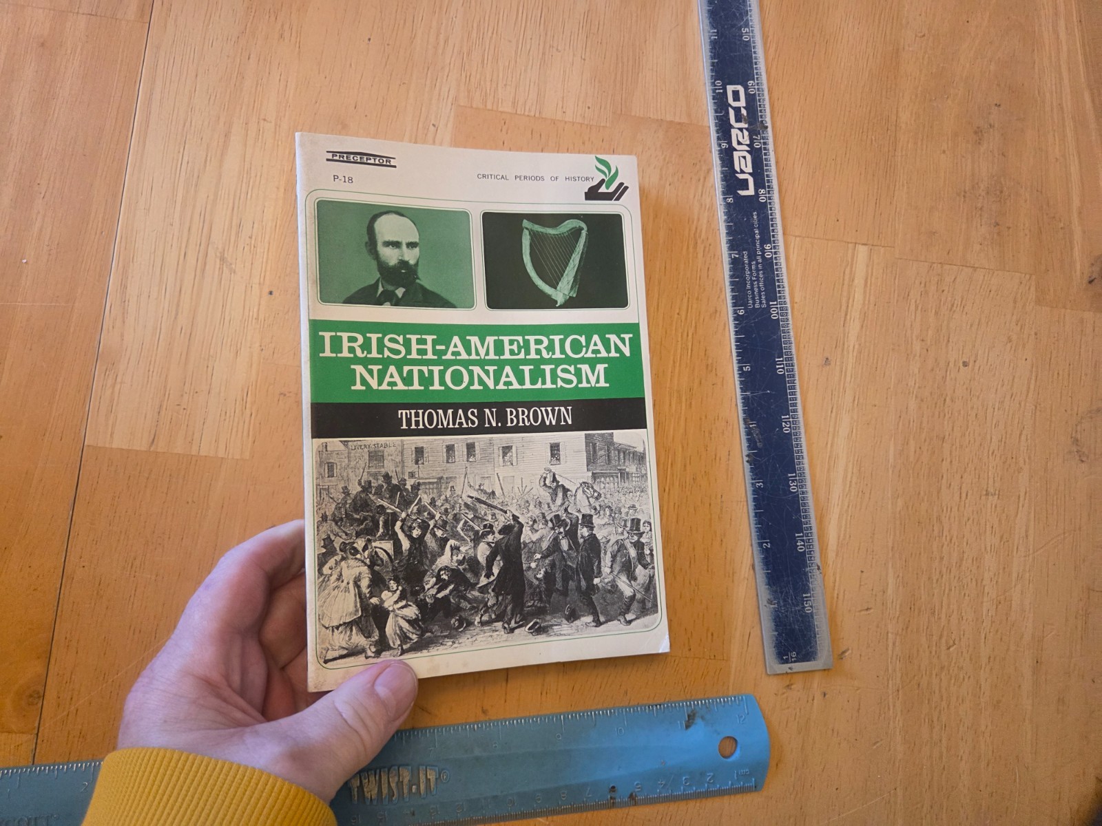 Irish-American Nationalism by Thomas N. Brown - 1966 J. B. Lipponcott Paperback