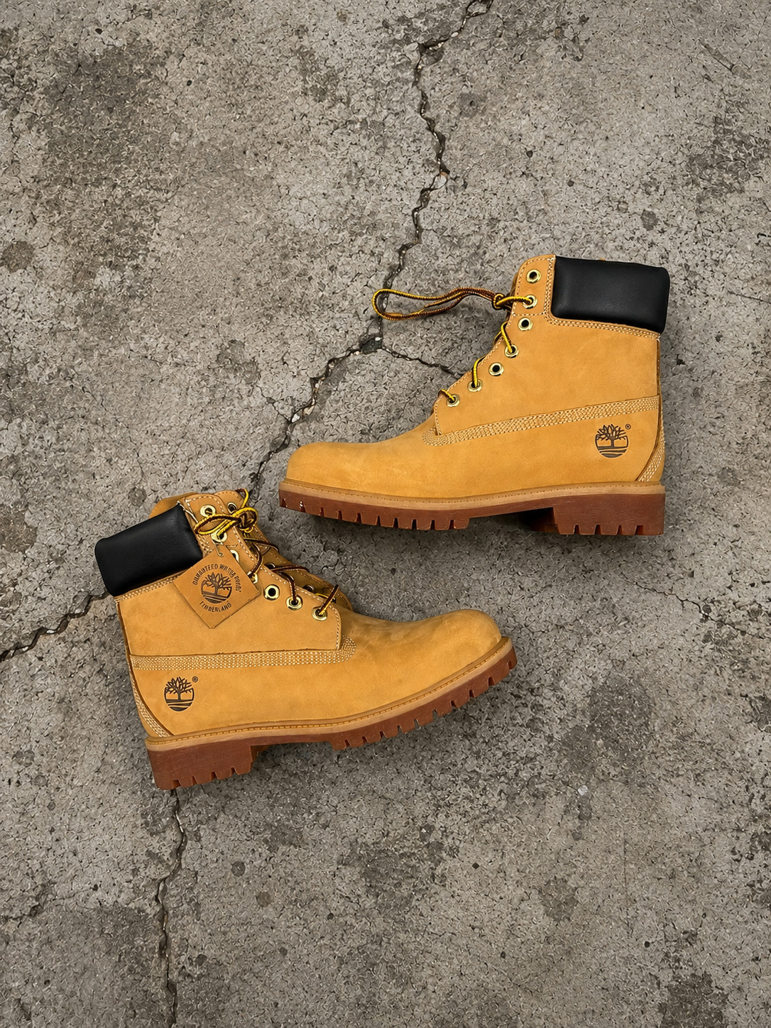 Timberland 6-Inch Premium Waterproof Boots – Wheat 7-12M Brand New 