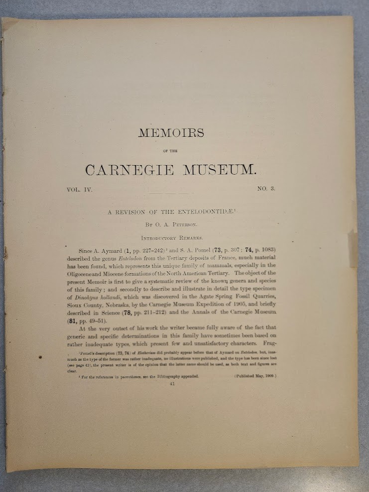 Memoirs Carnegie Museum: A Revision of the Entelodontidae O. A. Peterson 1909 Memoirs Carnegie Museum: A Revision of the Entelodontidae O. A. Peterson 1909