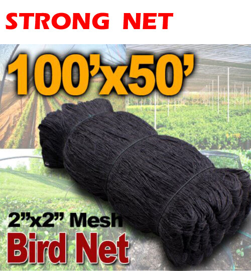 STRONG 50ft x 100ft Bird Netting Net Bird Poultry Avaiary Game Pens 2\
