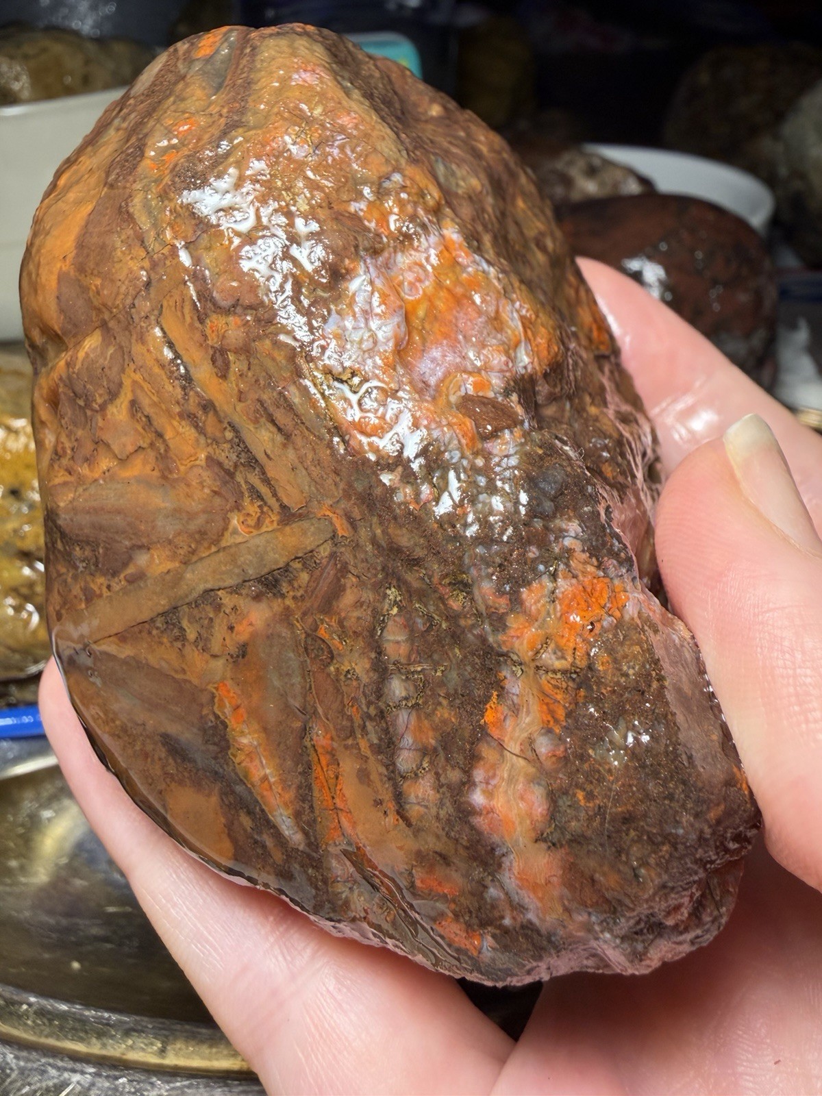 14.55oz Lake Superior Agate Rare Oddball Rough Display Specimen 14.55oz Lake Superior Agate Rare Oddball Rough Display Specimen