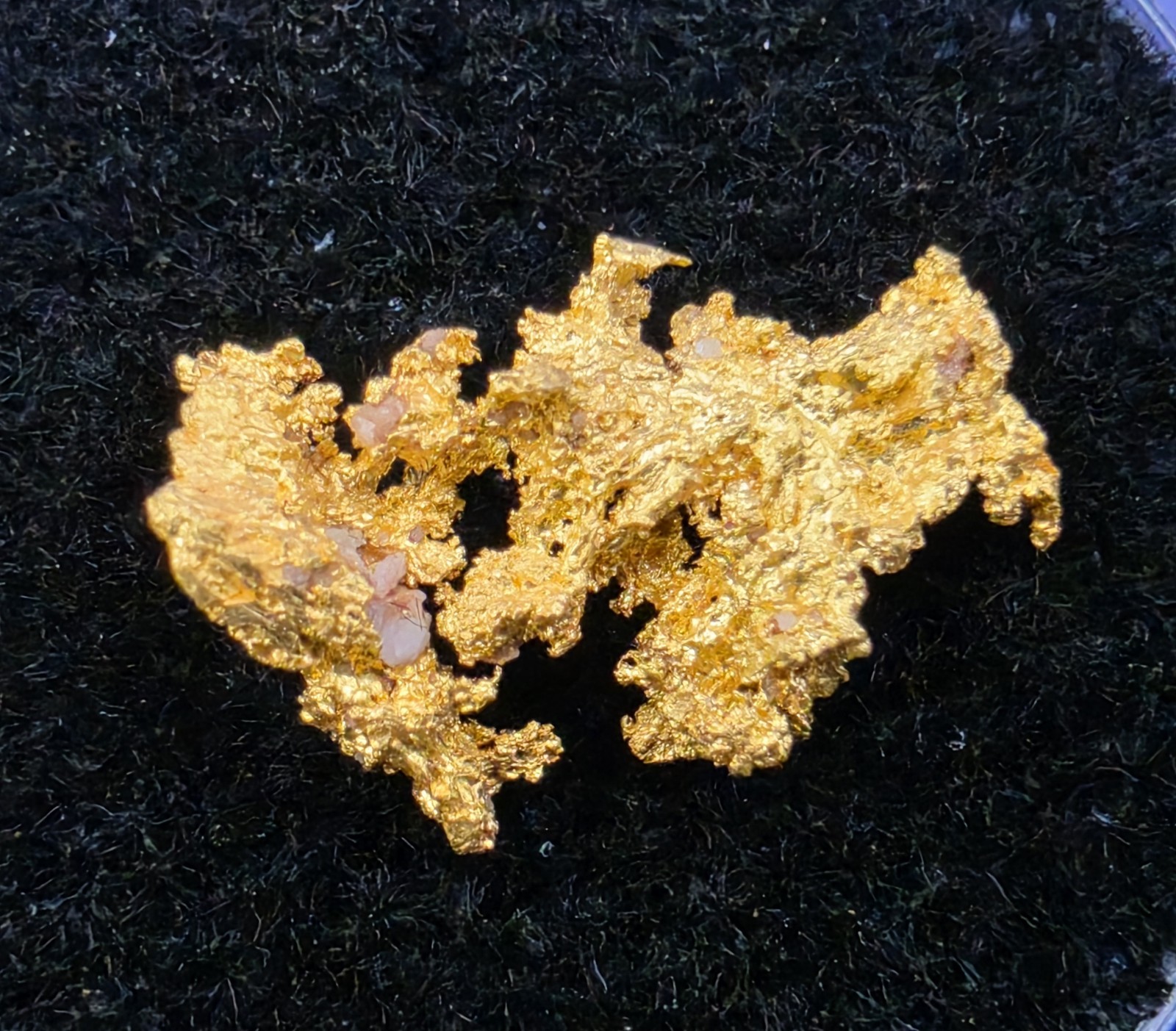 .961g Eagles Nest Mine Placer Co CA Crystallized Gold Specimen .961g Eagles Nest Mine Placer Co CA Crystallized Gold Specimen