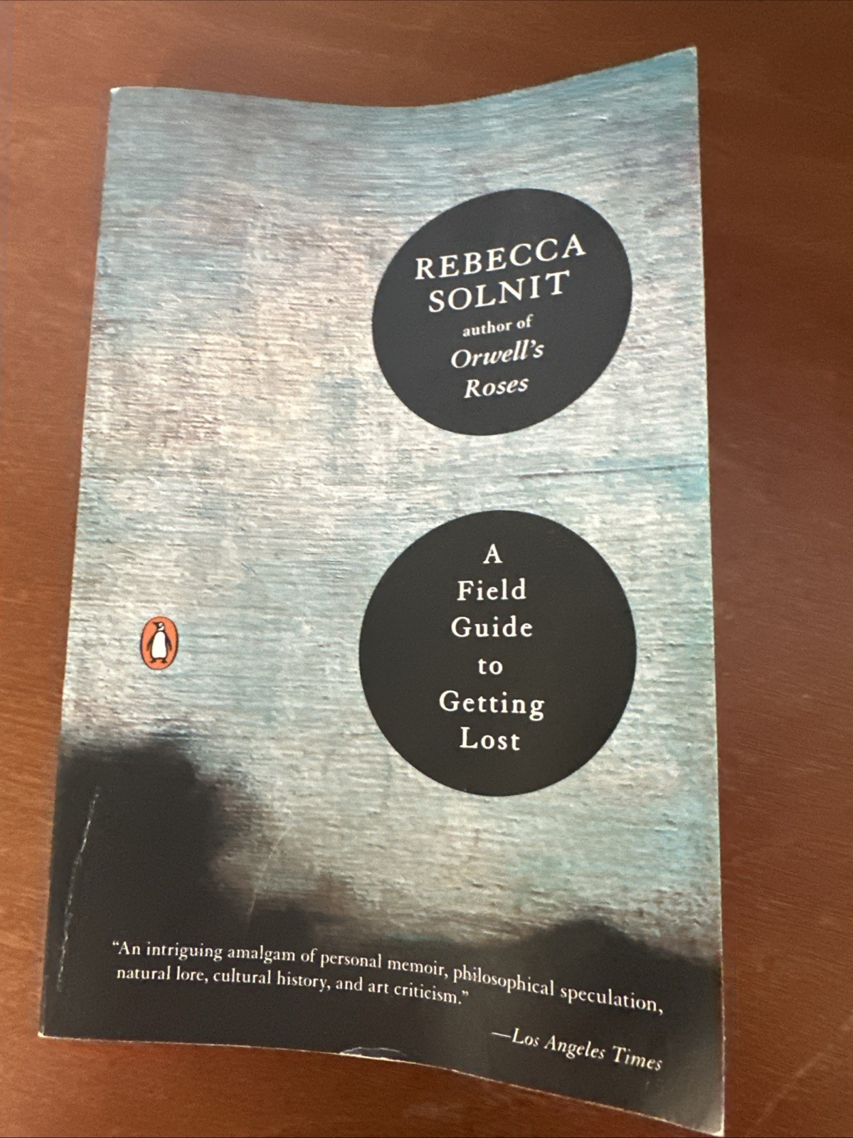 Field Guide to Getting Lost by Rebecca Solnit (2006, Uk-B Format Paperback)