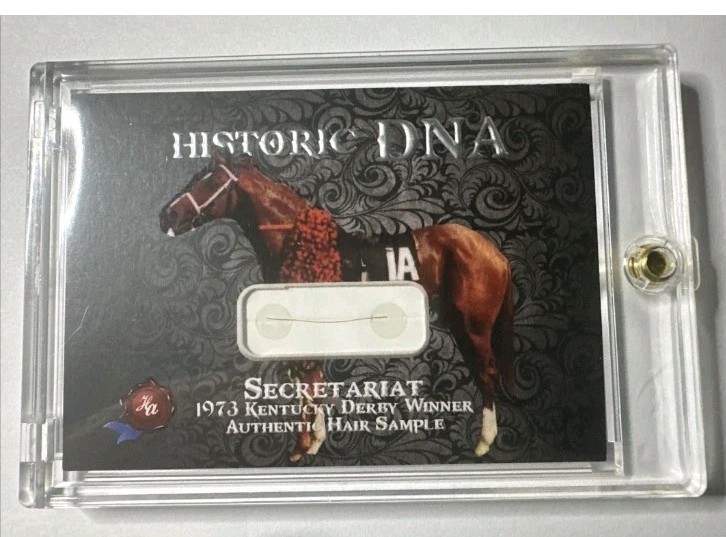 Historic Autograph Secretariat 1973 Kentucky D Winner DNA Hair Sample Relic /248