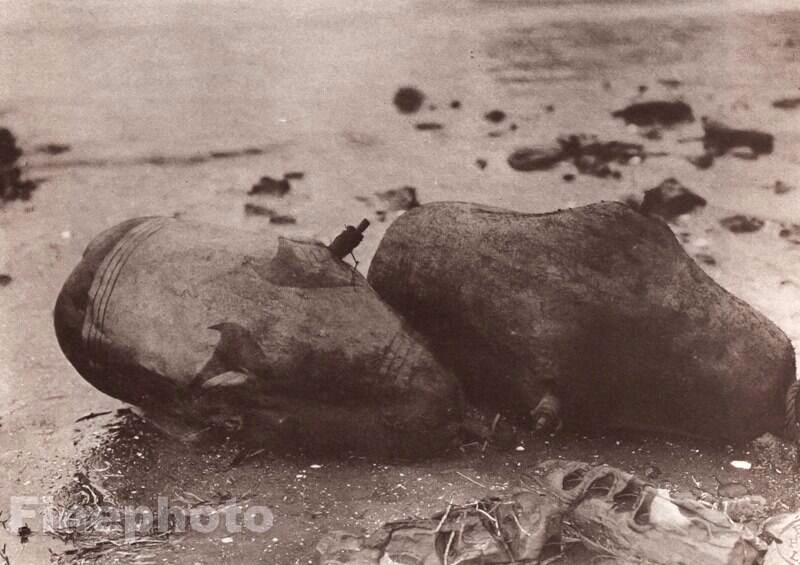 1900/72  EDWARD CURTIS Photo Gravure NATIVE AMERICAN INDIAN Floats Whale Fishing