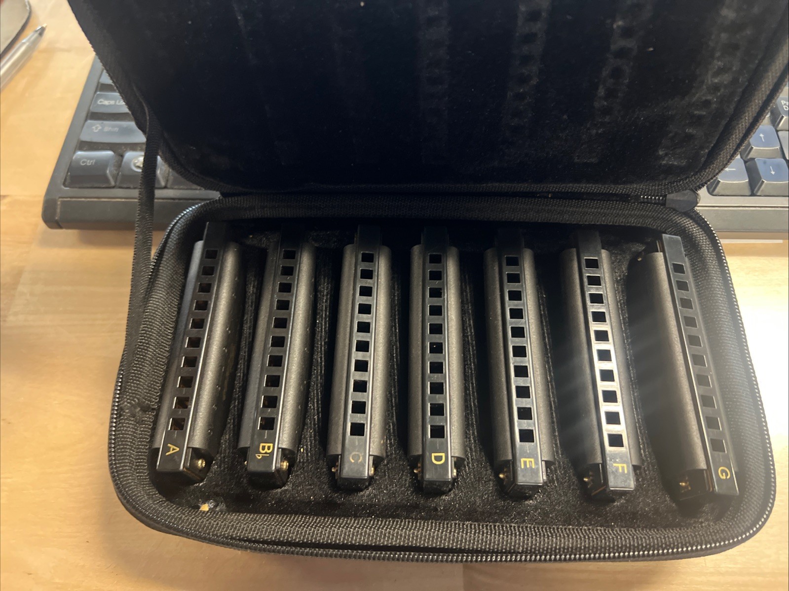 Hohner Bluesband 7 Piece Harmonica Set w Carry Case