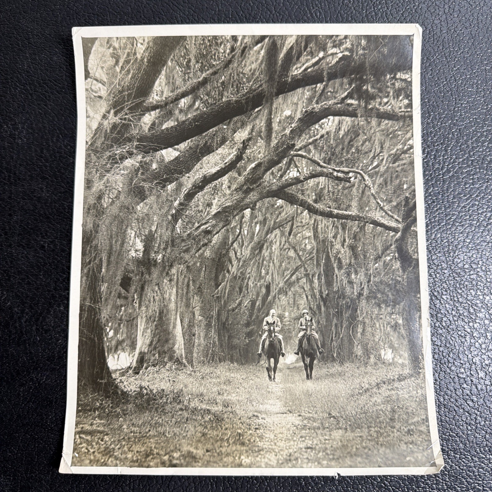 Vintage Photo President Calvin & Grace Coolidge Horseback Riding