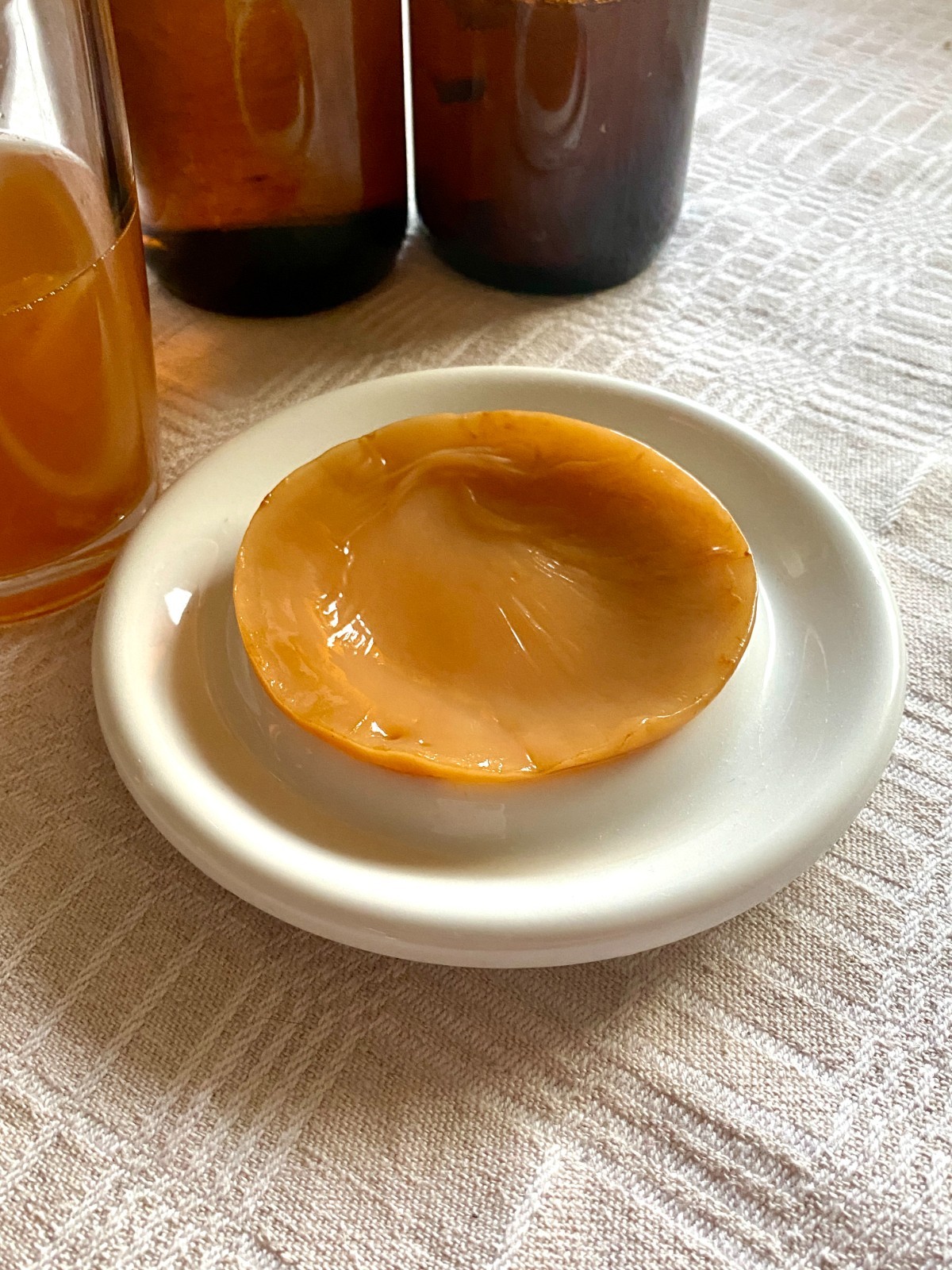 LIVE & HEALTHY KOMBUCHA SCOBY 4 LIVE & HEALTHY KOMBUCHA SCOBY 4