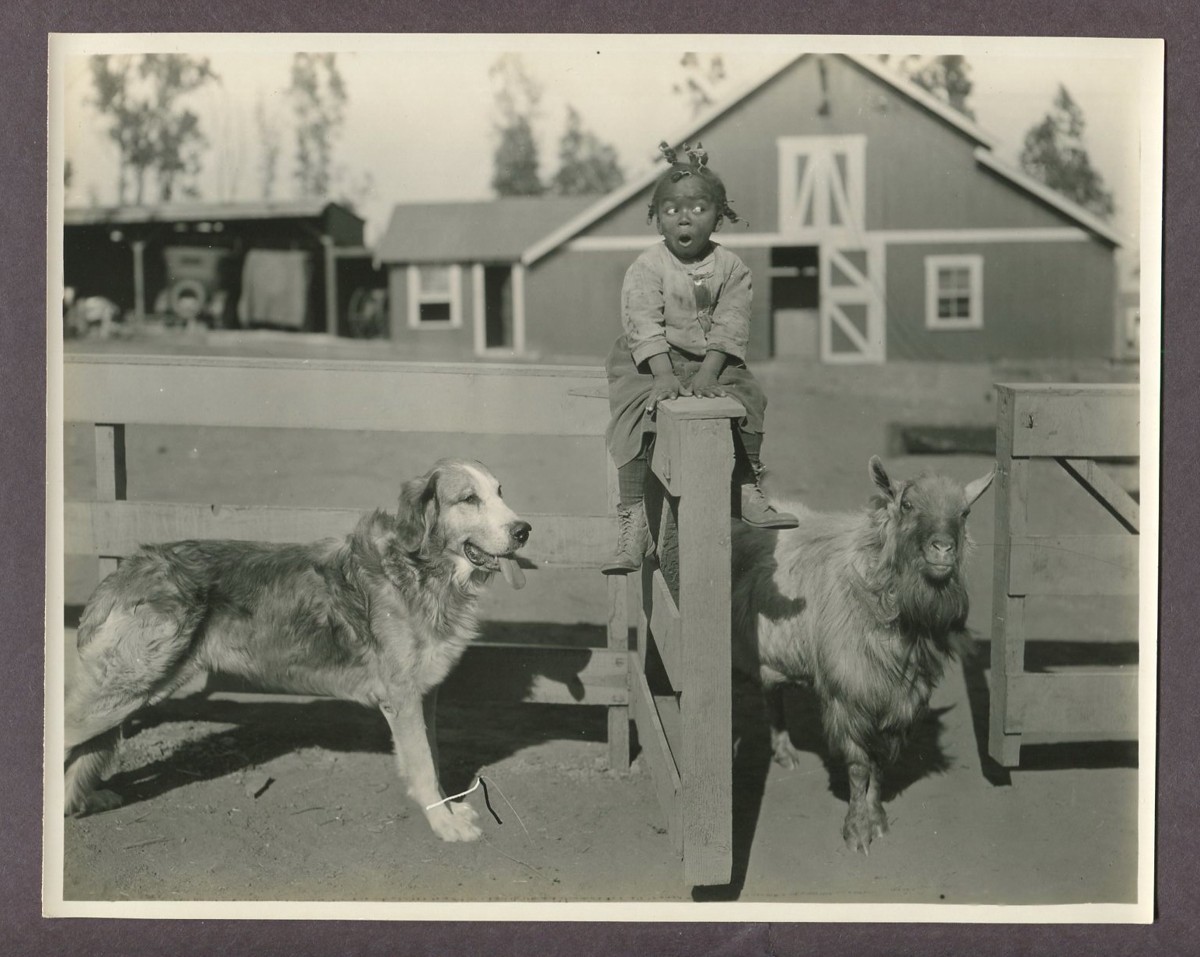 ALLEN FARINA HOSKINS Black Child Actor Our Gang 1924 Photo It\'s A Bear Farm