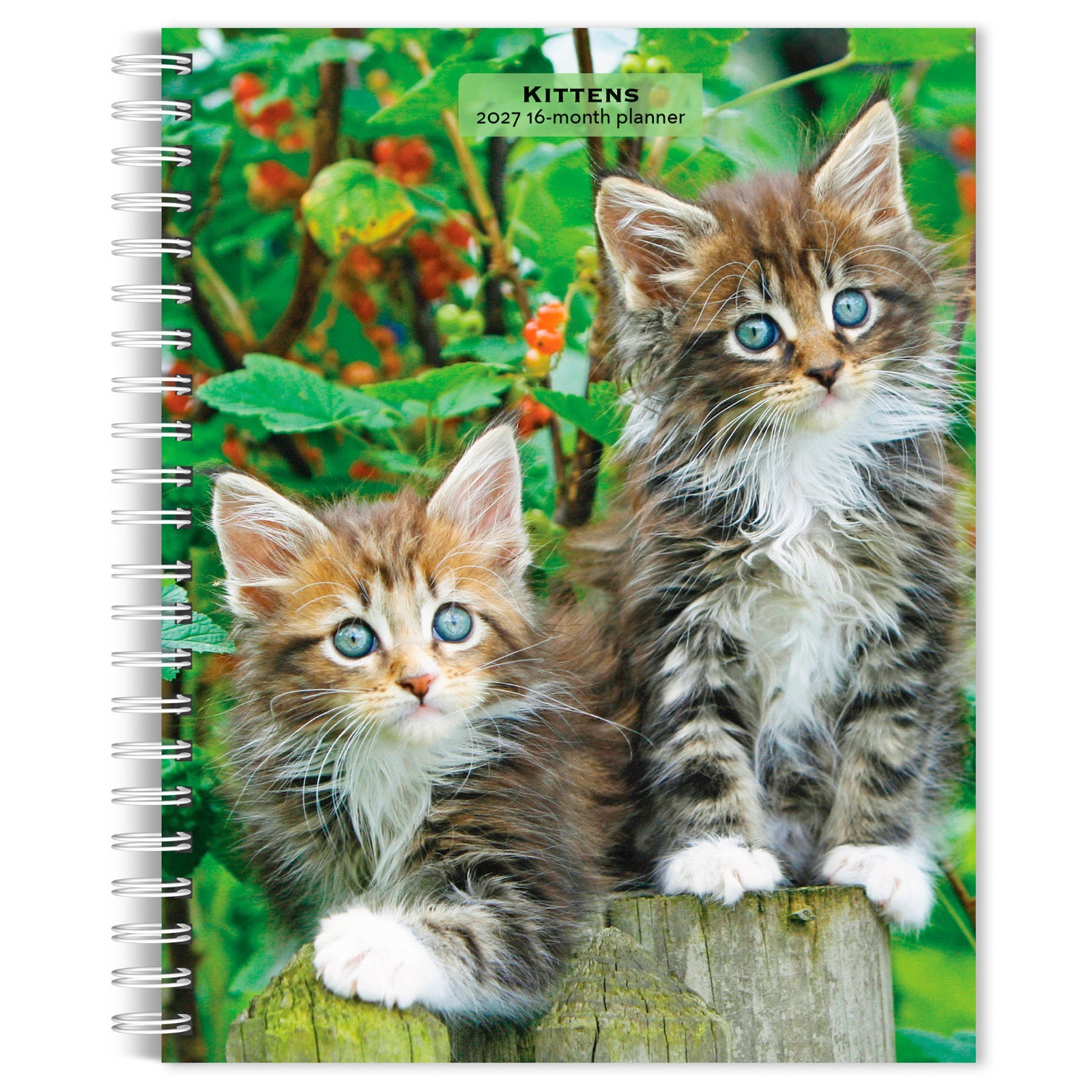 Kittens | 2027 6x7.75\