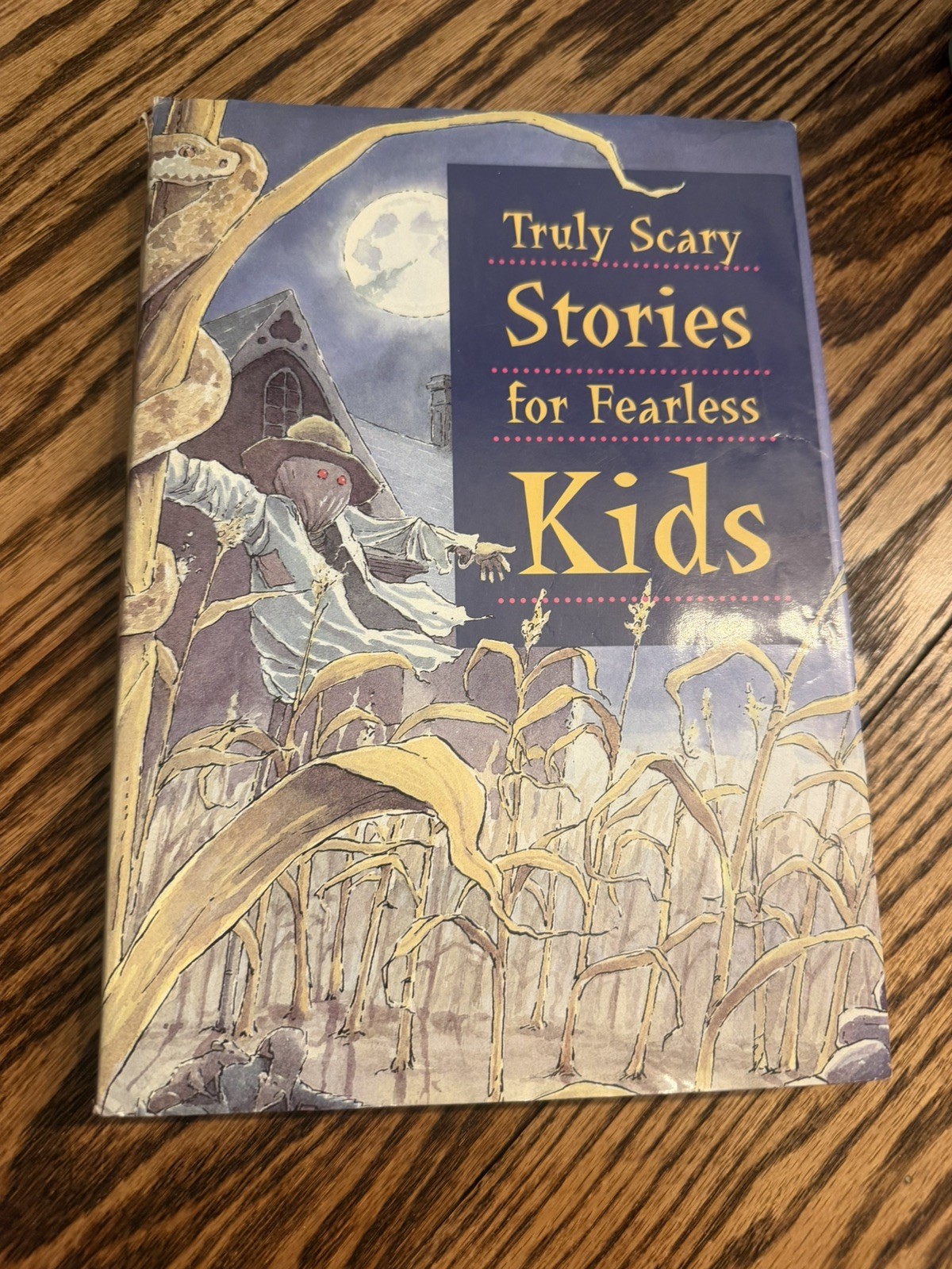 Truly Scary Stories for Fearless Kids by Weissman, Excellent used condition 