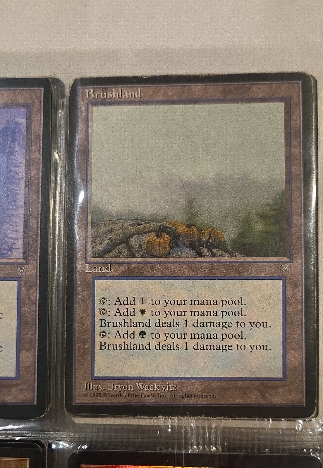 Brushland Ice Age Regular Brushland Ice Age Regular