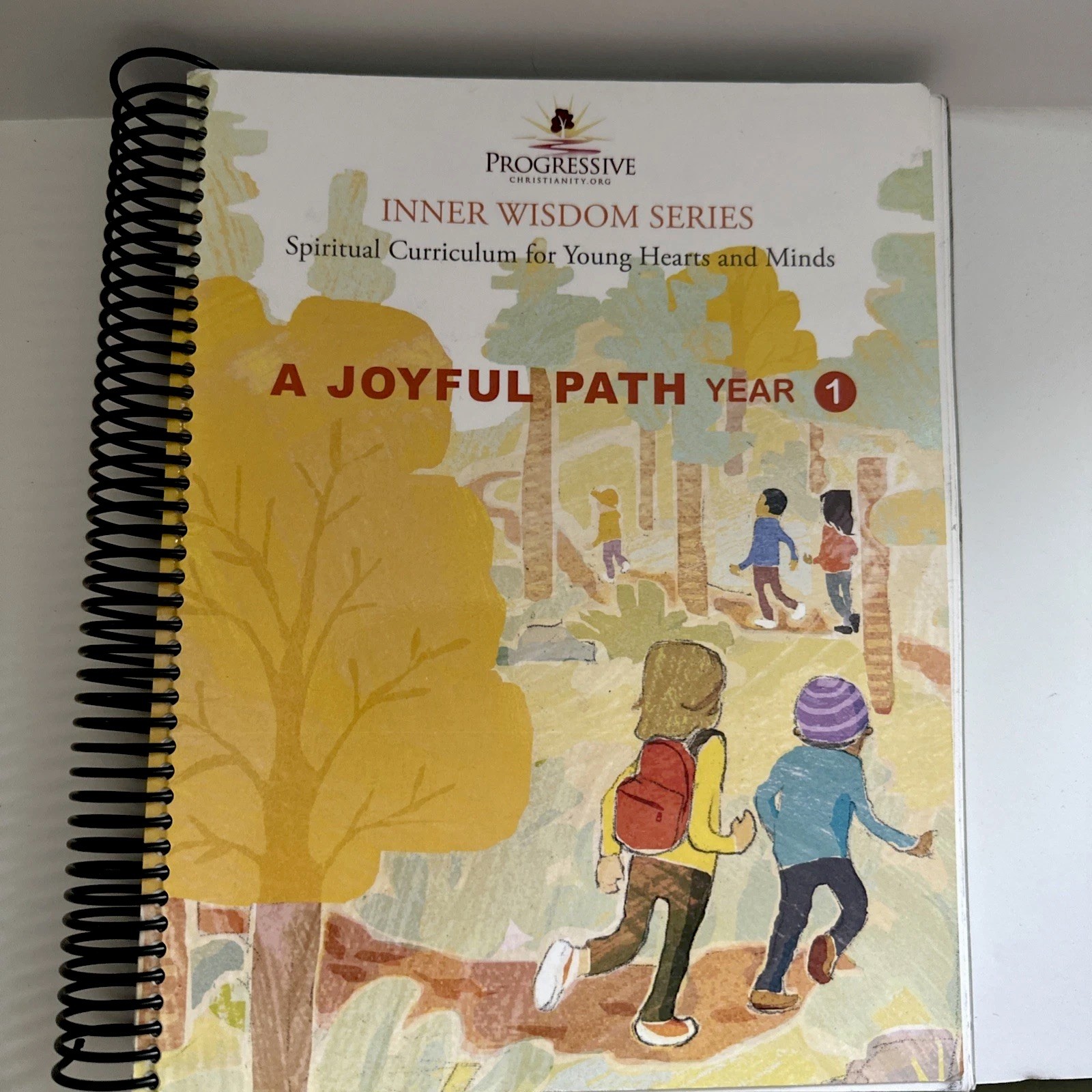 A Joyful Path : Year 1 (Inner Wisdom Series) Ages 6-10 by Lorna Knox No Cd A Joyful Path : Year 1 (Inner Wisdom Series) Ages 6-10 by Lorna Knox No Cd