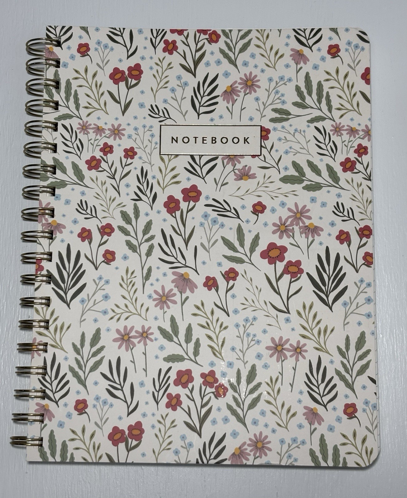 Fringe Studio SWEET PETITE MEADOW Journal Spiral Notebook 192 Lined Pages
