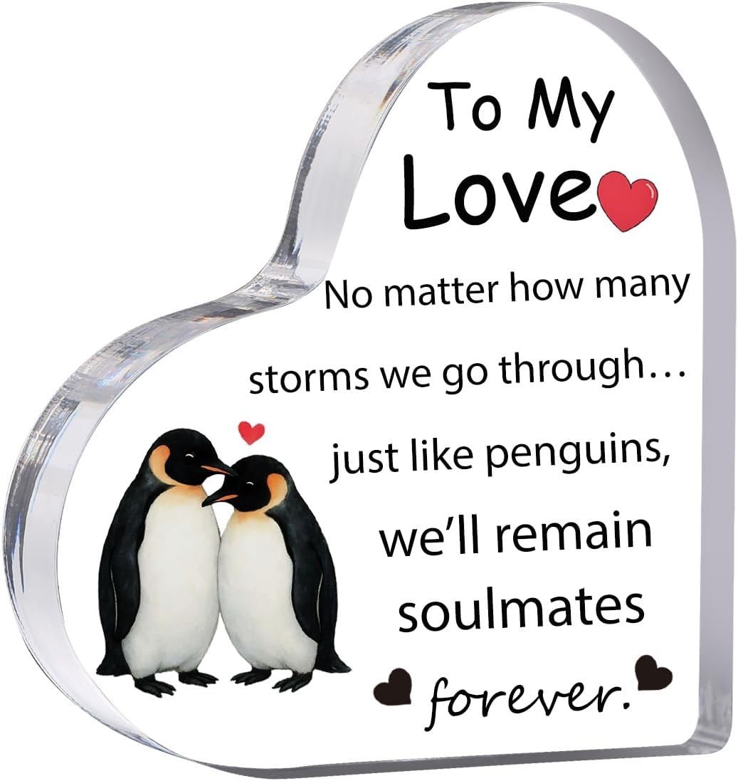 To My Love Gifts for Him Her, Boyfriend Girlfriend Husband & Wife Anniversary To My Love Gifts for Him Her, Boyfriend Girlfriend Husband & Wife Anniversary