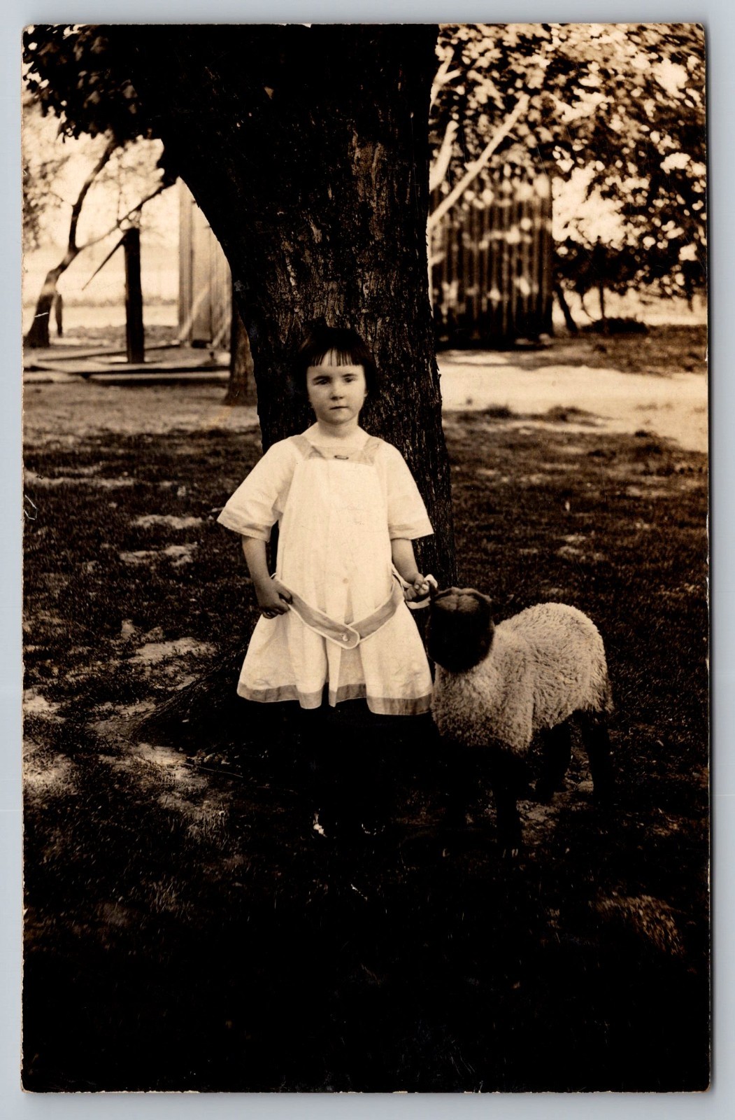 Antique RPPC Girl with Lamb on Leash Named Alice May Harvey c1900s