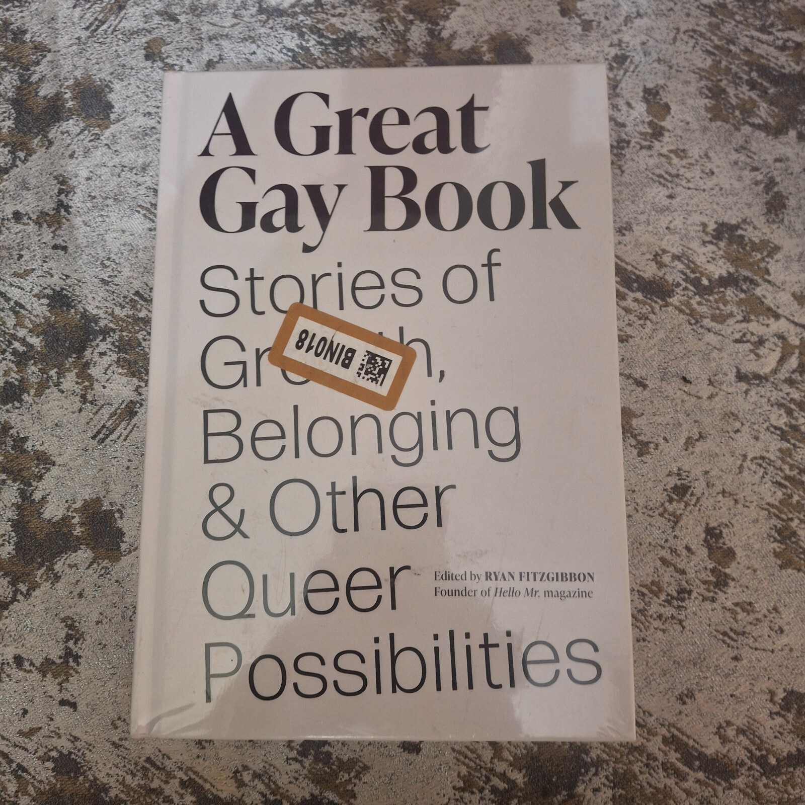 A Great Gay Book Stories of Growth & Belonging Hardcover Ryan Fitzgibbon Abrams