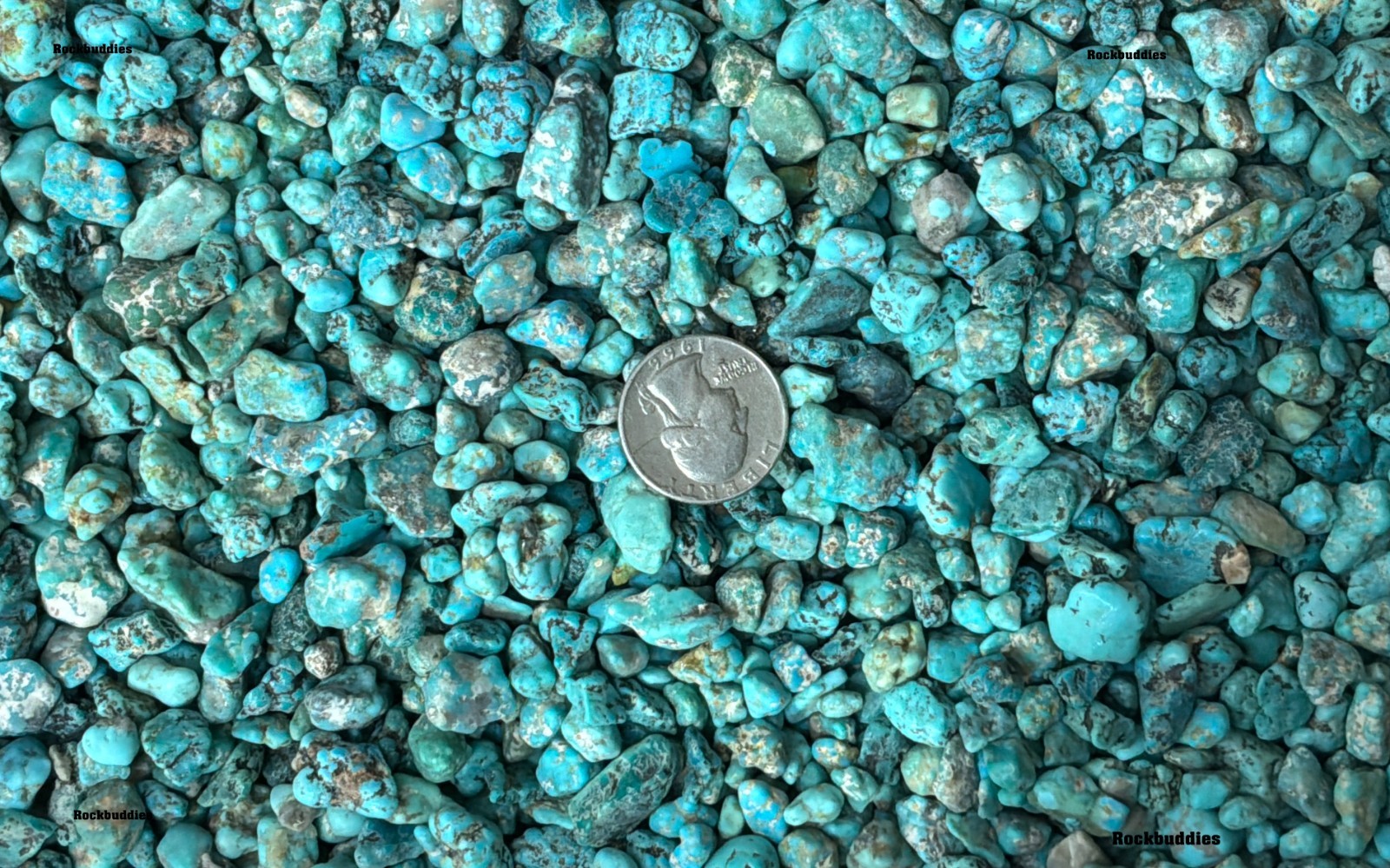 1/2  pound of Stabilized American Turquoise Rough Nevada Turquoise Petite rough