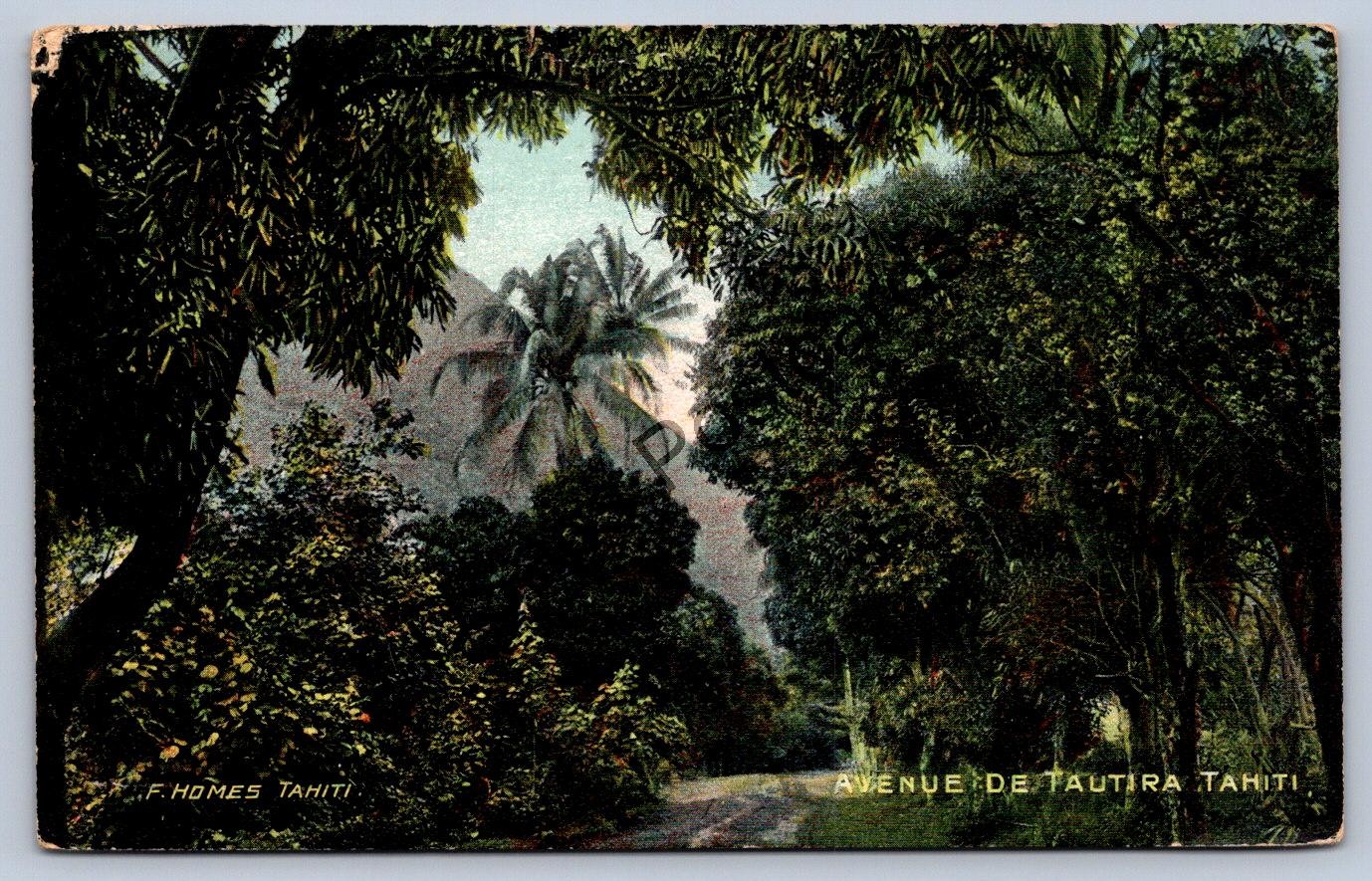 K65/ Foreign RPPC Postcard c1910 Avenue de Tautira Tahiti Trees Mountain 225 K65/ Foreign RPPC Postcard c1910 Avenue de Tautira Tahiti Trees Mountain 225
