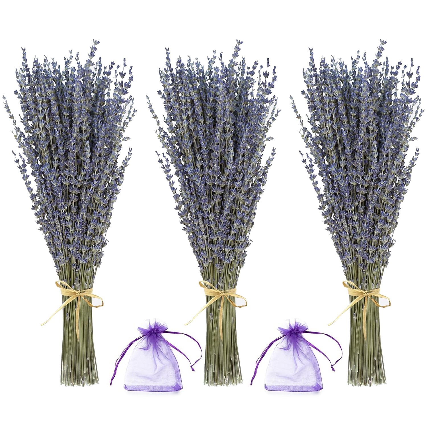 (3 Bunches) Lavender Bundles - Natural Dried Flowers for Home Decor, 150g