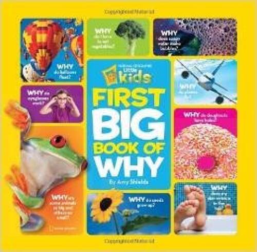 National Geographic Kids First Big Book of Why (National Geographic - VERY GOOD National Geographic Kids First Big Book of Why (National Geographic - VERY GOOD
