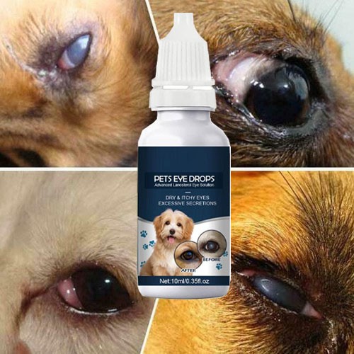 Eye Drops for Pets Bacterial,Viral and Fungal & Infections Dog Cat Treatment US Eye Drops for Pets Bacterial,Viral and Fungal & Infections Dog Cat Treatment US